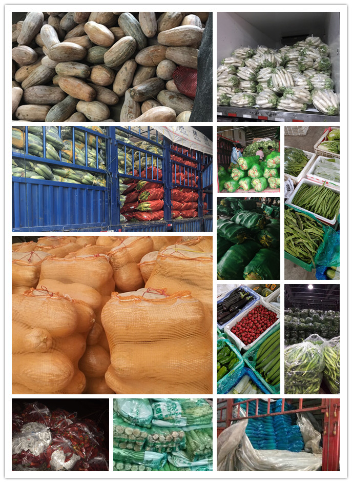 AG真人国际(中国) - 官方网站