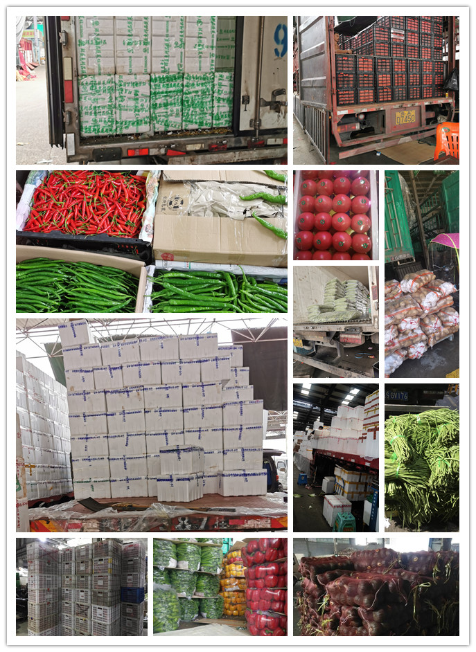 AG真人国际(中国) - 官方网站