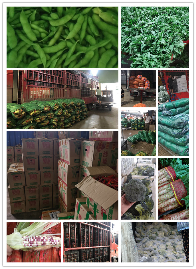 AG真人国际(中国) - 官方网站