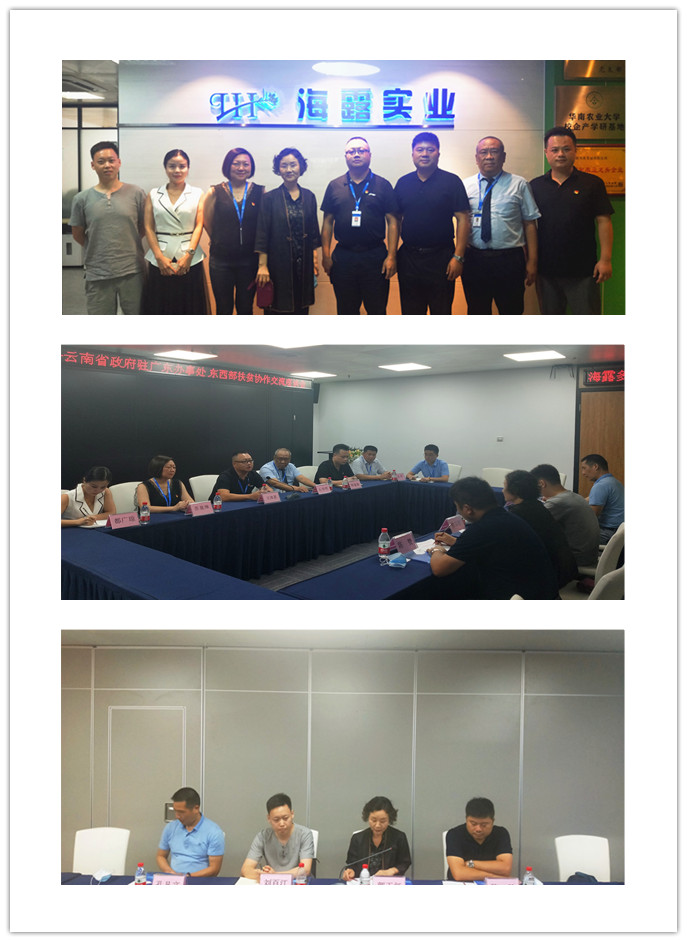 AG真人国际(中国) - 官方网站