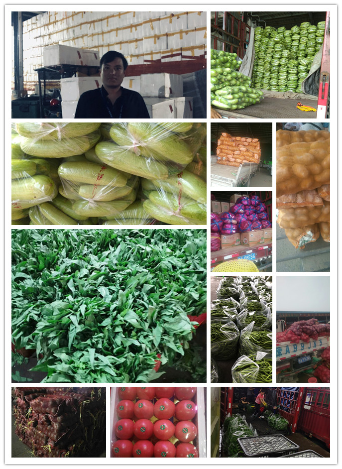 AG真人国际(中国) - 官方网站