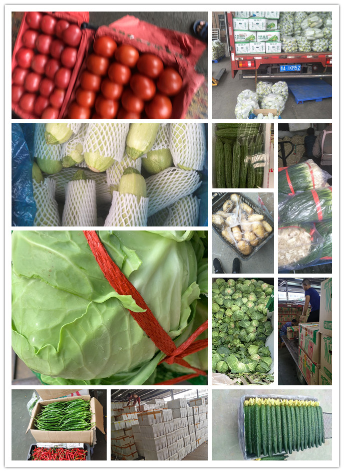 AG真人国际(中国) - 官方网站