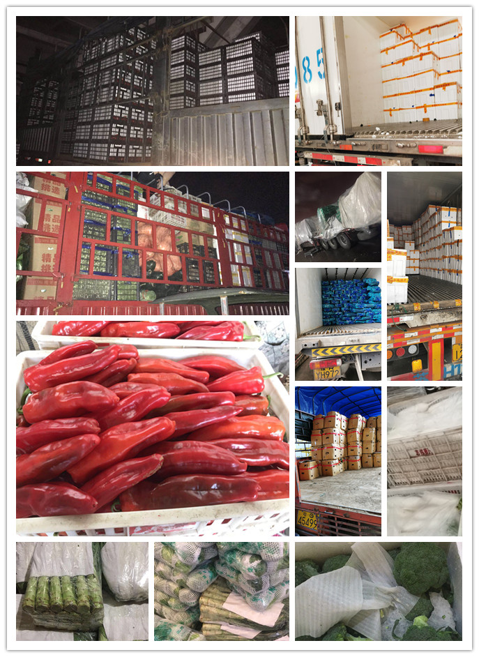 AG真人国际(中国) - 官方网站