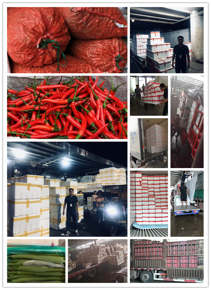 AG真人国际(中国) - 官方网站