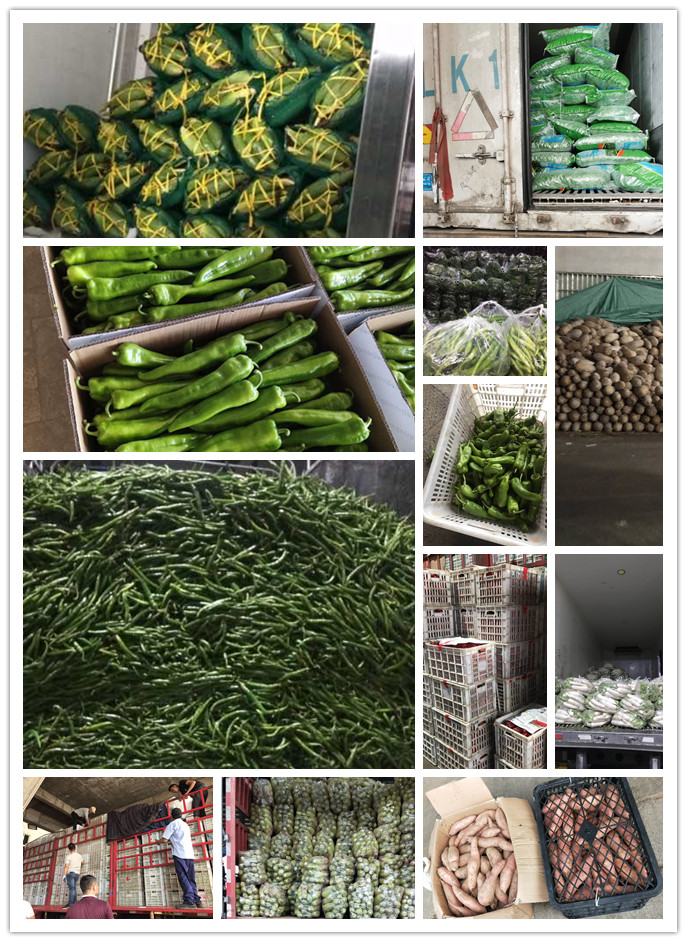 AG真人国际(中国) - 官方网站