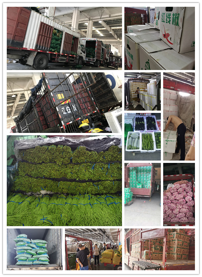 AG真人国际(中国) - 官方网站