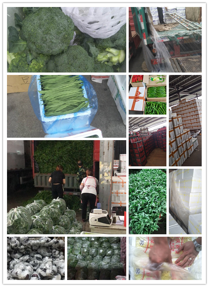 AG真人国际(中国) - 官方网站