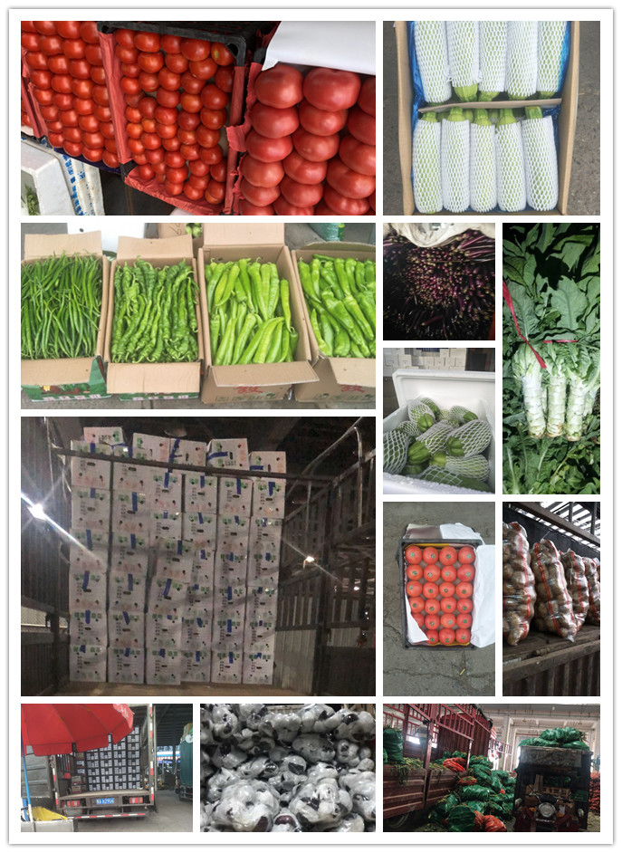 AG真人国际(中国) - 官方网站