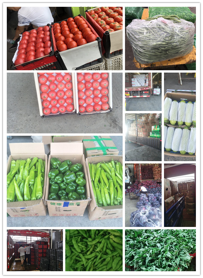 AG真人国际(中国) - 官方网站