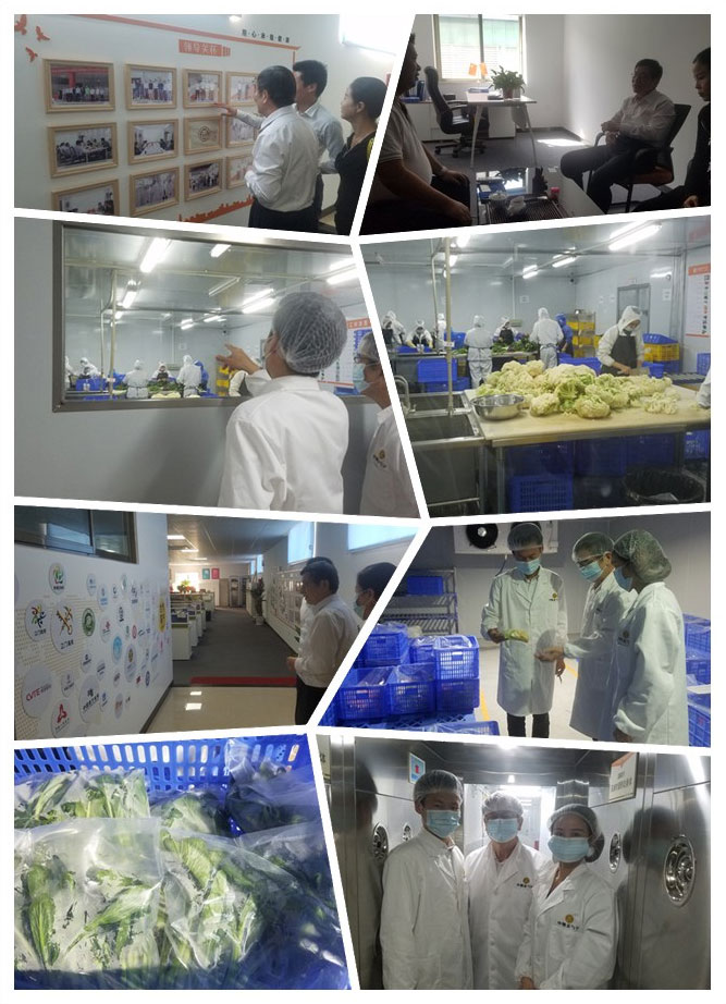 AG真人国际(中国) - 官方网站