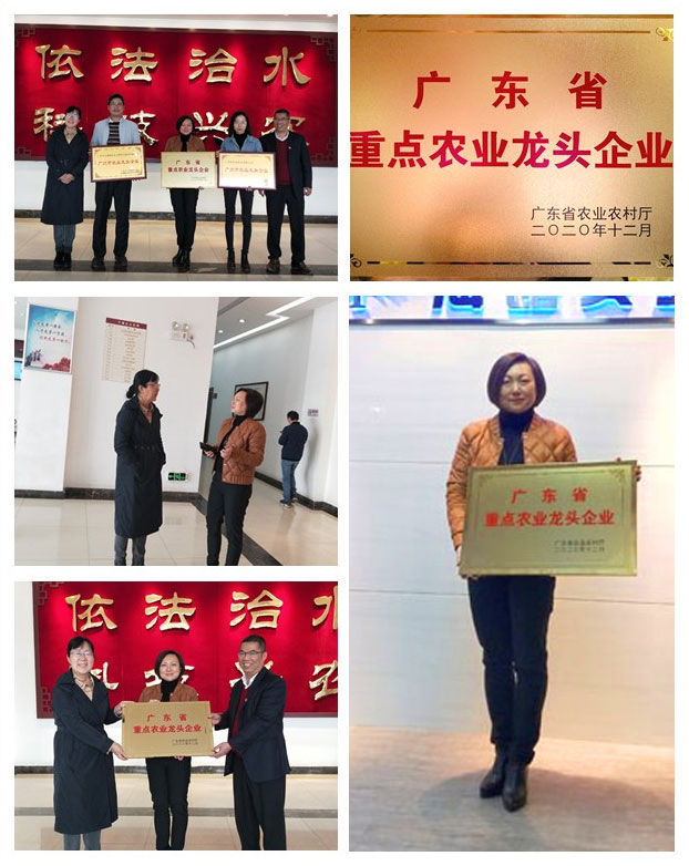 AG真人国际(中国) - 官方网站