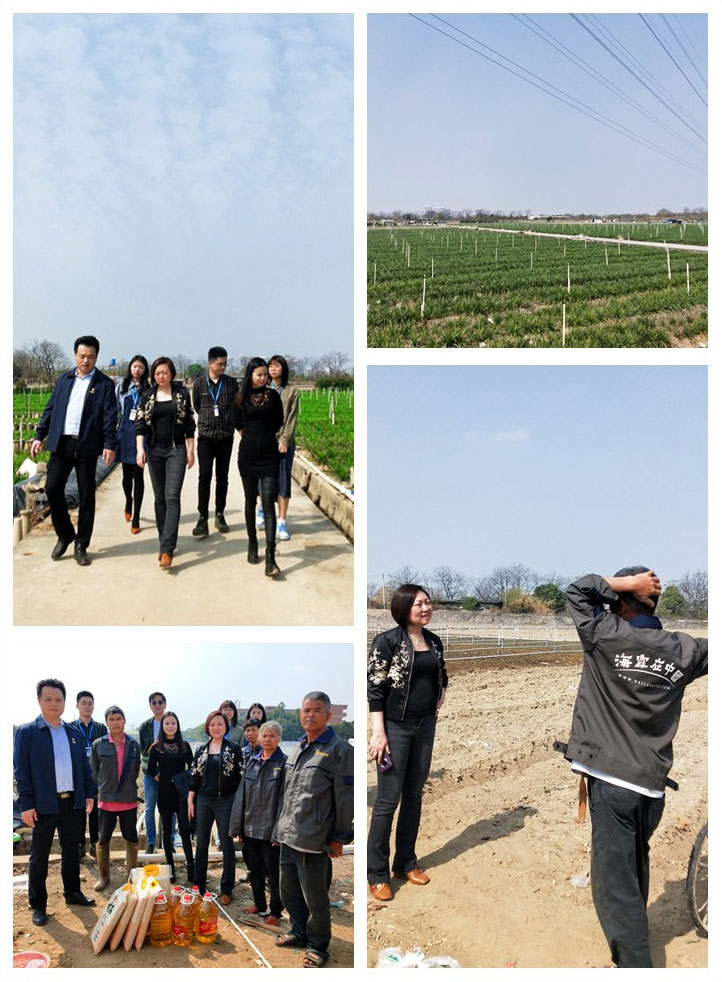 AG真人国际(中国) - 官方网站