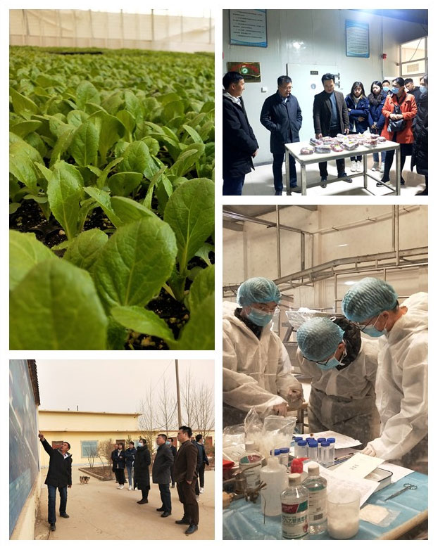 AG真人国际(中国) - 官方网站