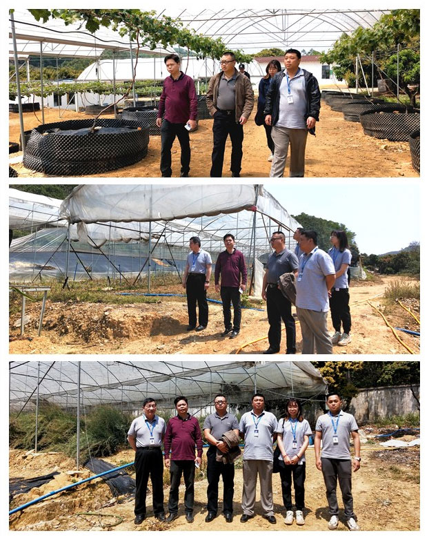 AG真人国际(中国) - 官方网站