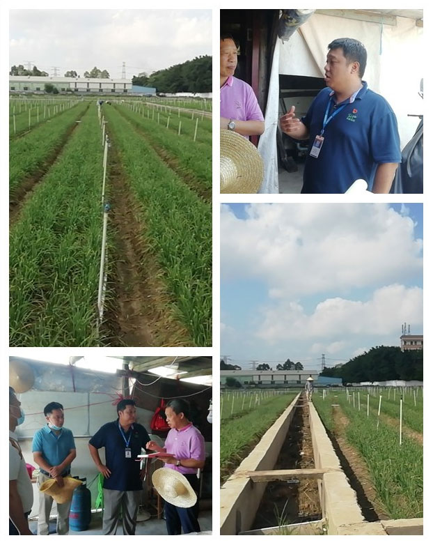 AG真人国际(中国) - 官方网站