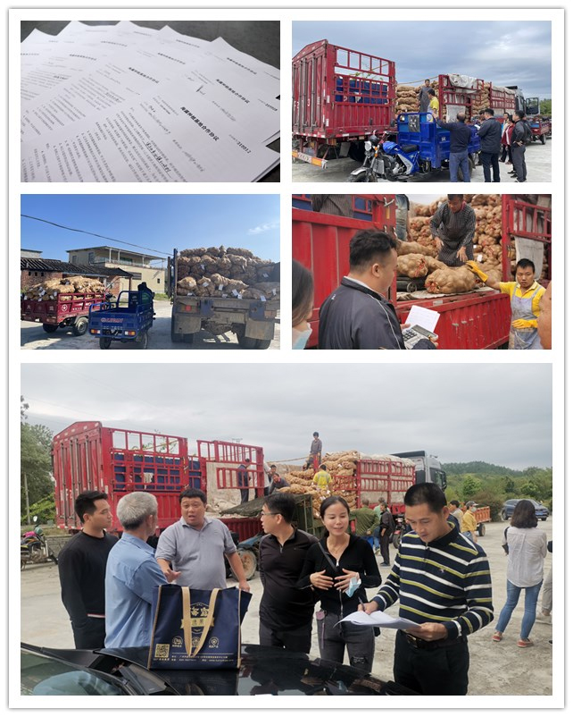 AG真人国际(中国) - 官方网站