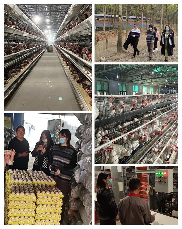 AG真人国际(中国) - 官方网站