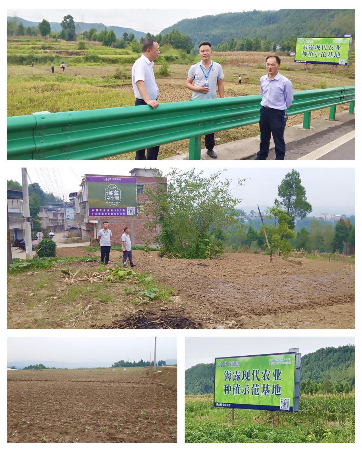 AG真人国际(中国) - 官方网站