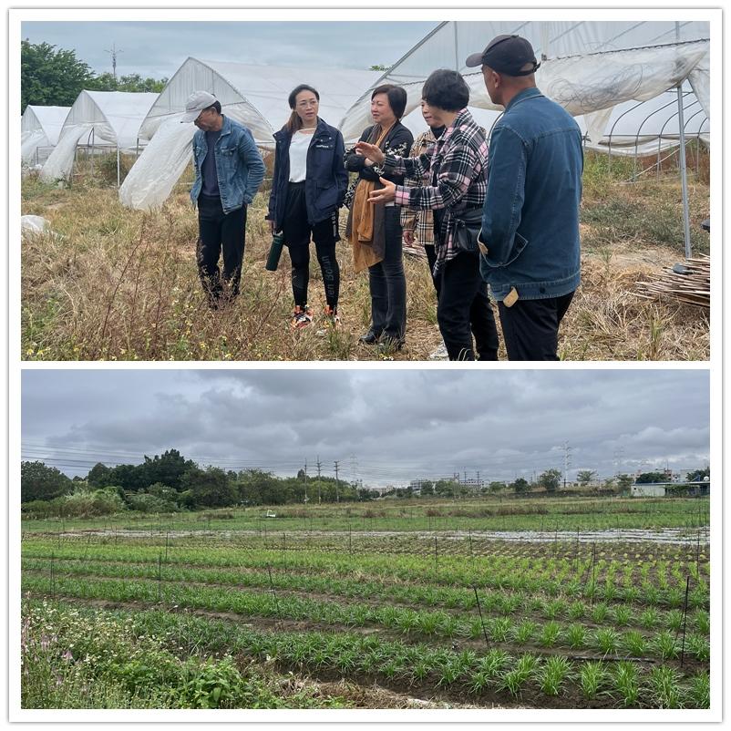 AG真人国际(中国) - 官方网站