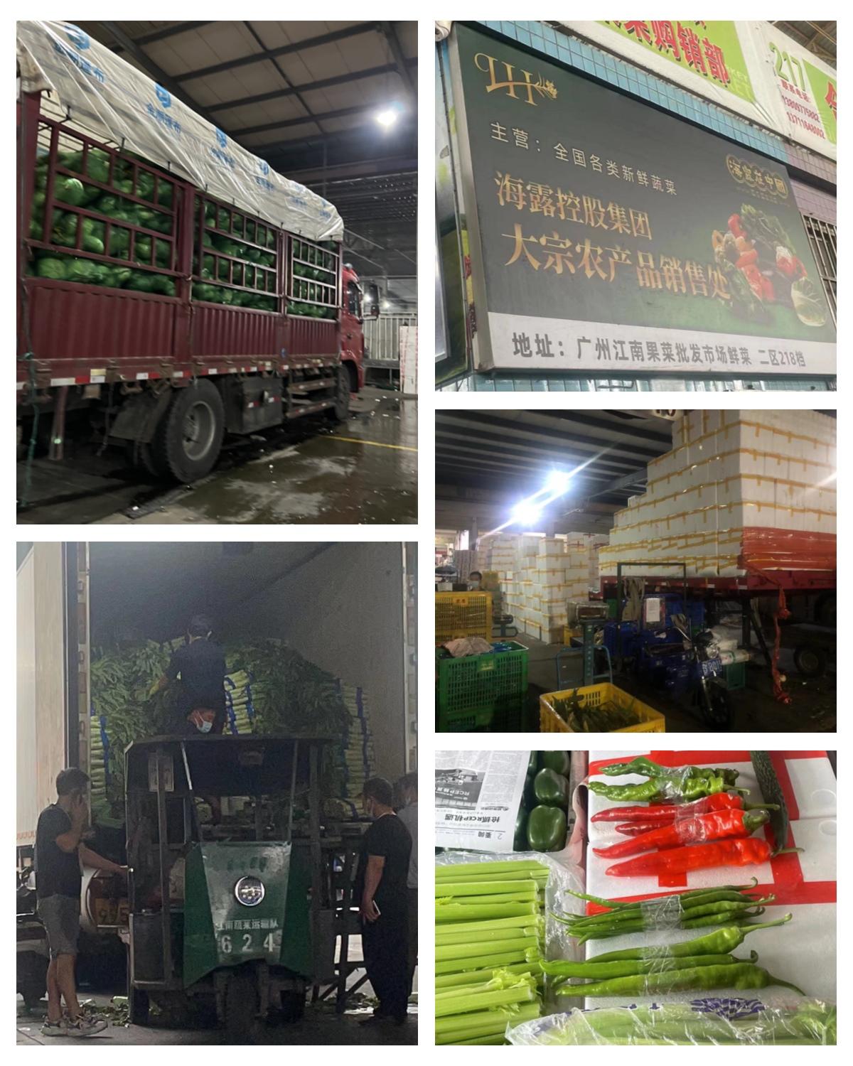 AG真人国际(中国) - 官方网站