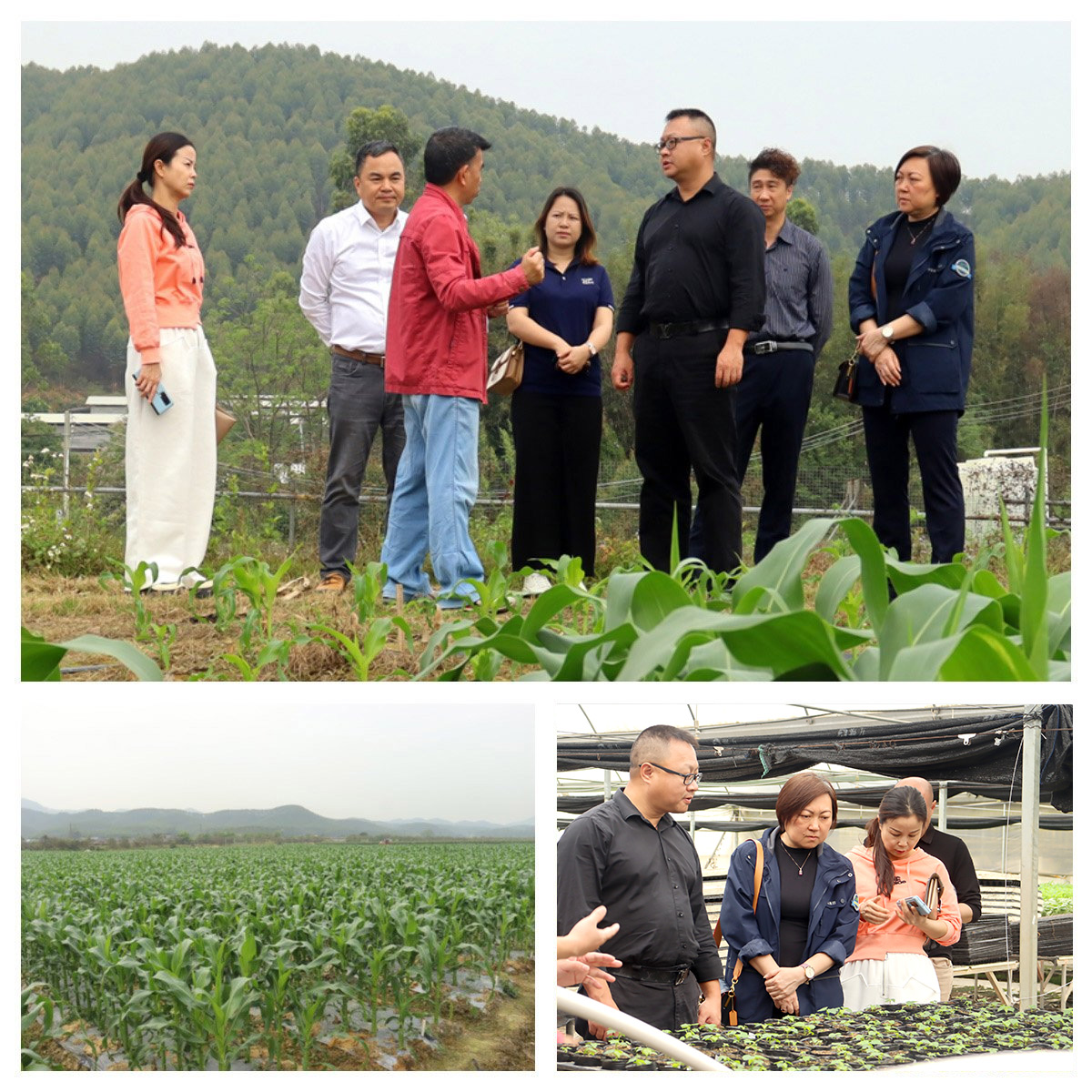 AG真人国际(中国) - 官方网站