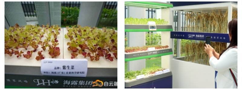 AG真人国际(中国) - 官方网站