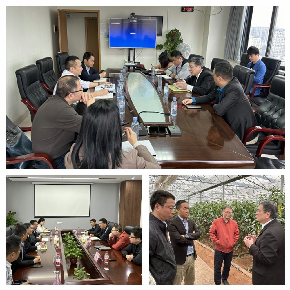 AG真人国际(中国) - 官方网站