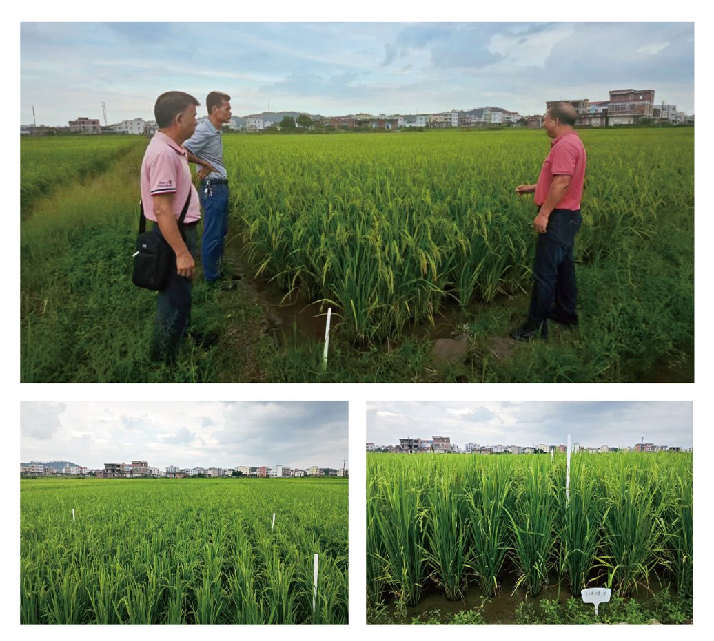 AG真人国际(中国) - 官方网站