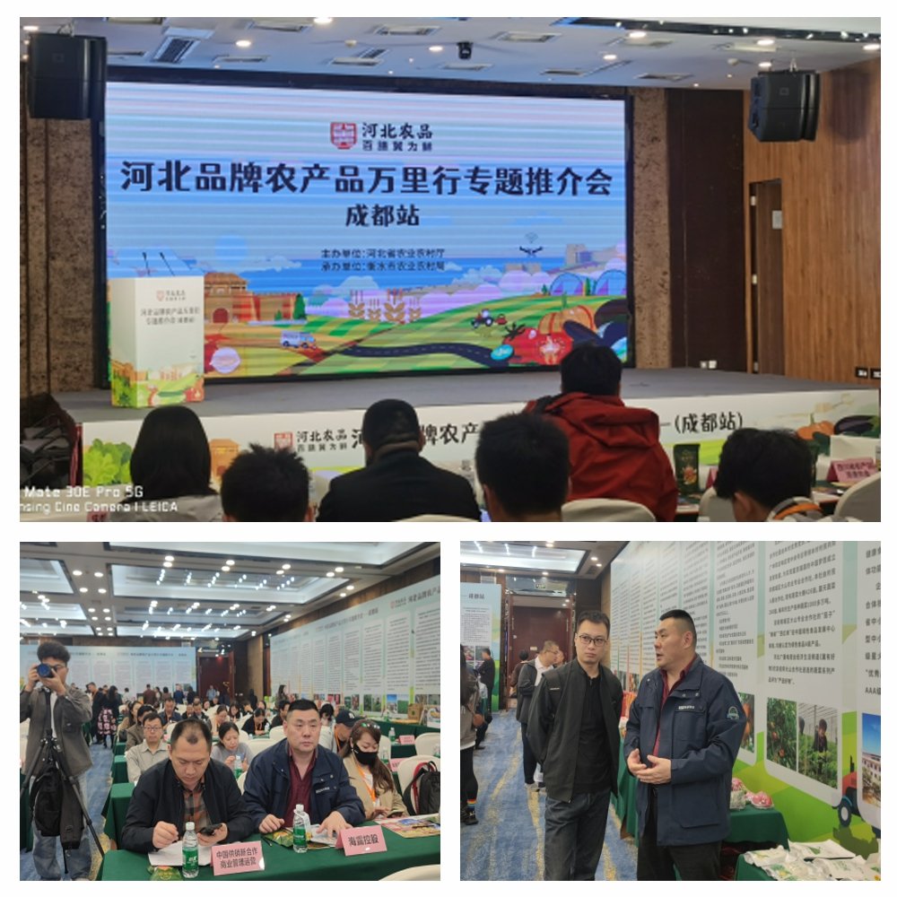 AG真人国际(中国) - 官方网站