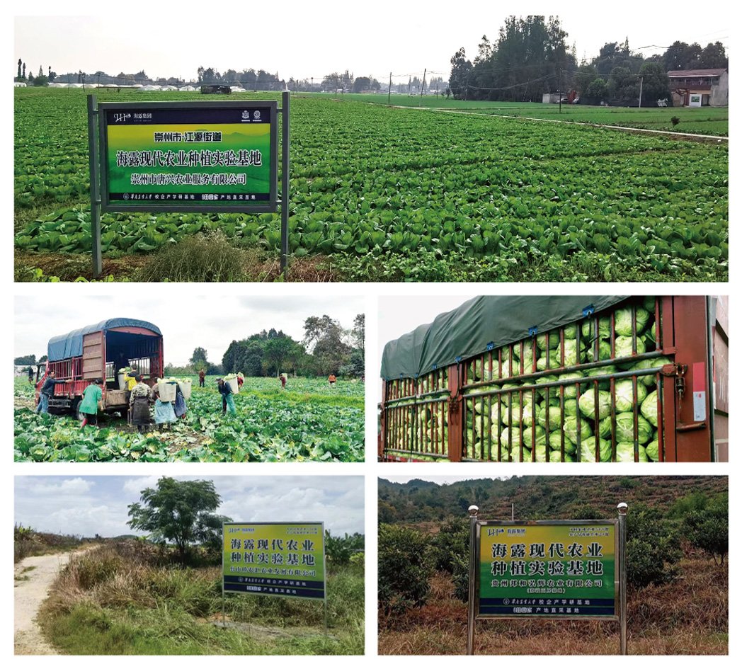 AG真人国际(中国) - 官方网站