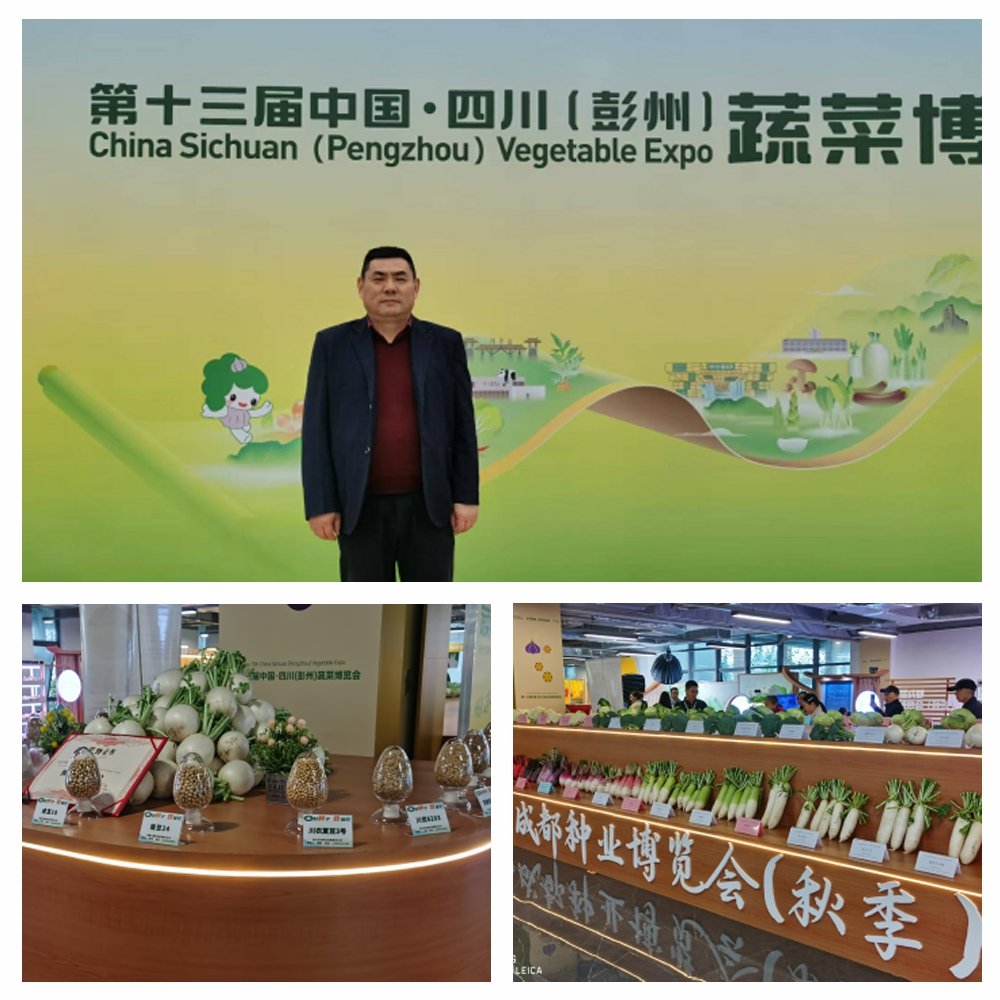 AG真人国际(中国) - 官方网站