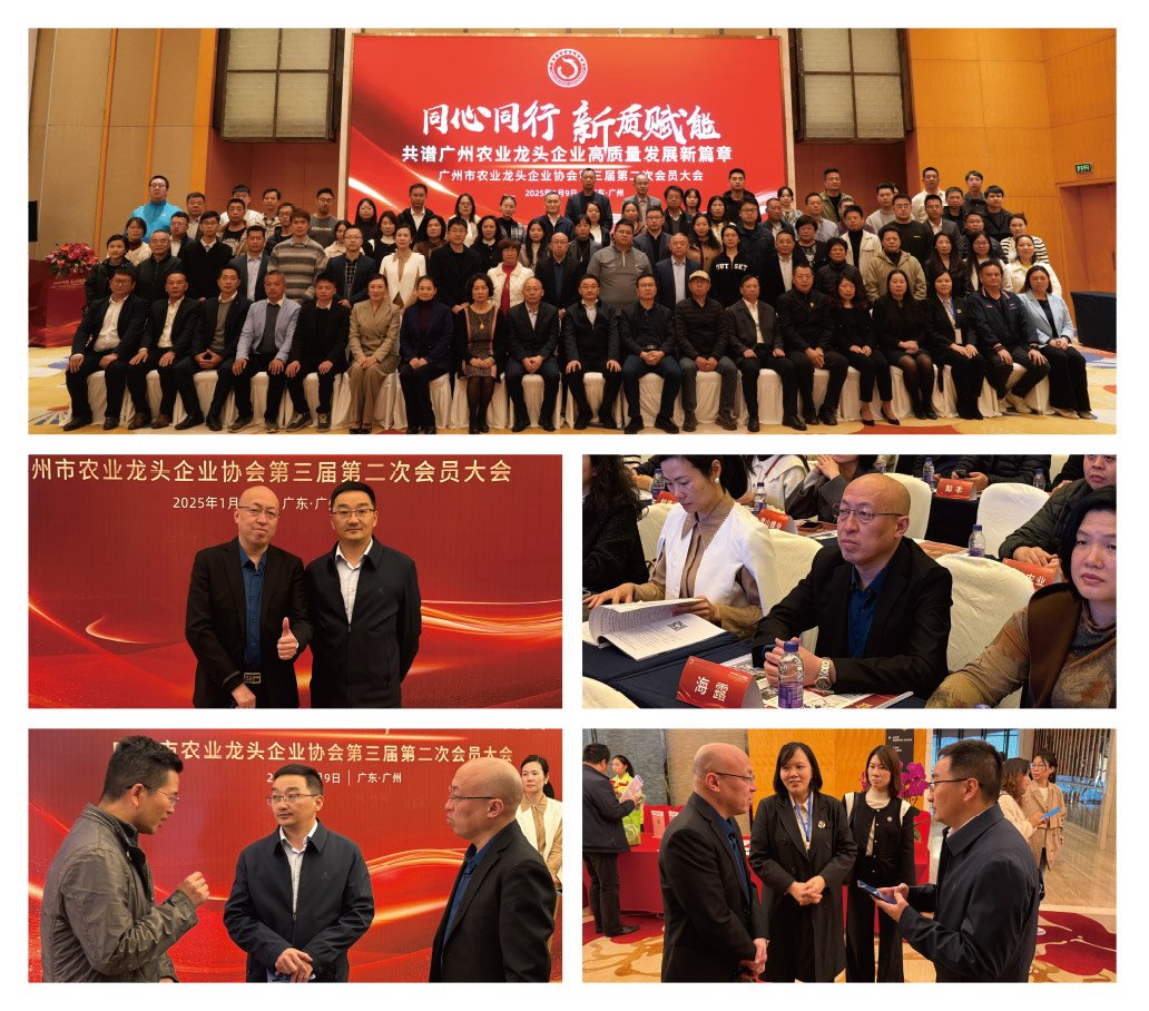 AG真人国际(中国) - 官方网站