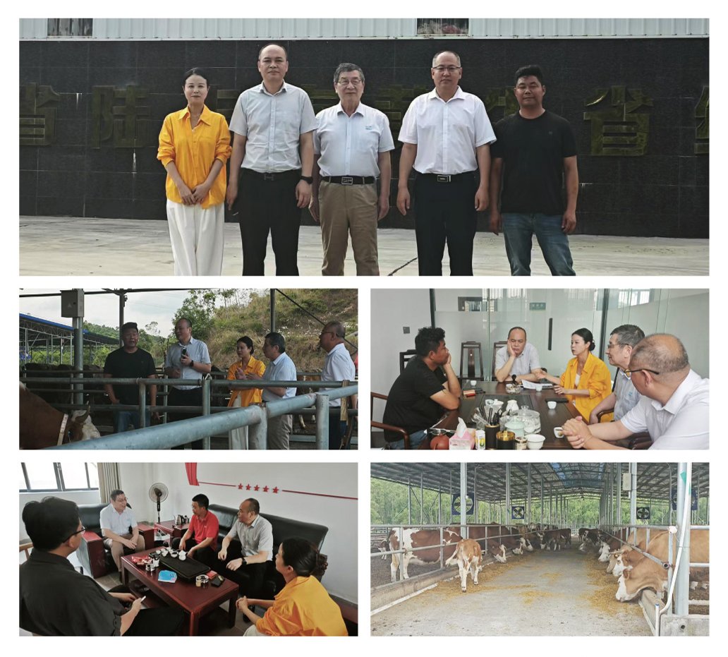 AG真人国际(中国) - 官方网站