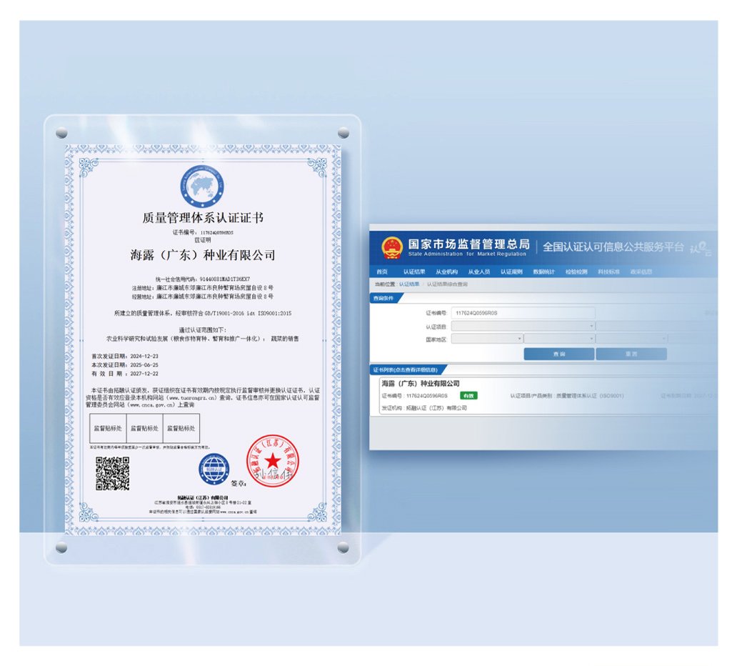 AG真人国际(中国) - 官方网站