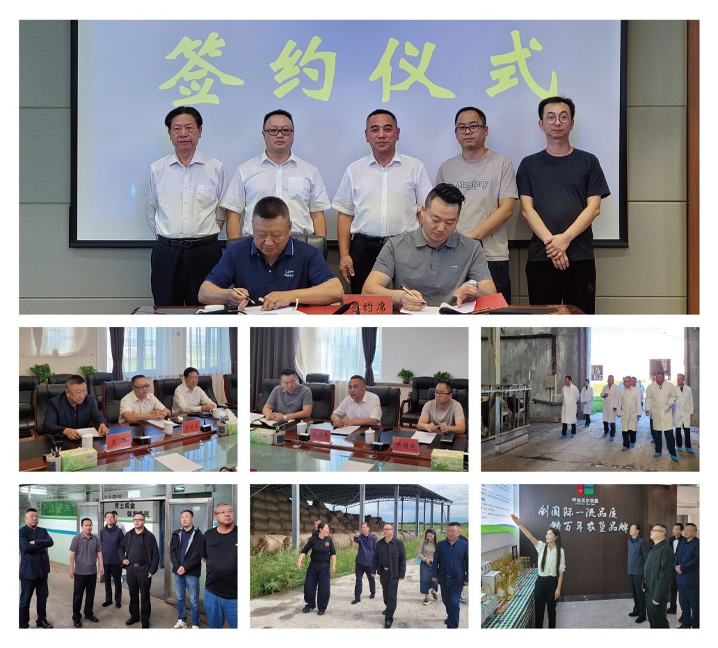 AG真人国际(中国) - 官方网站