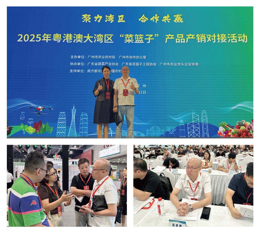 AG真人国际(中国) - 官方网站