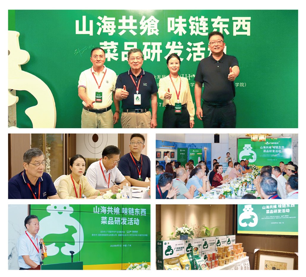 AG真人国际(中国) - 官方网站