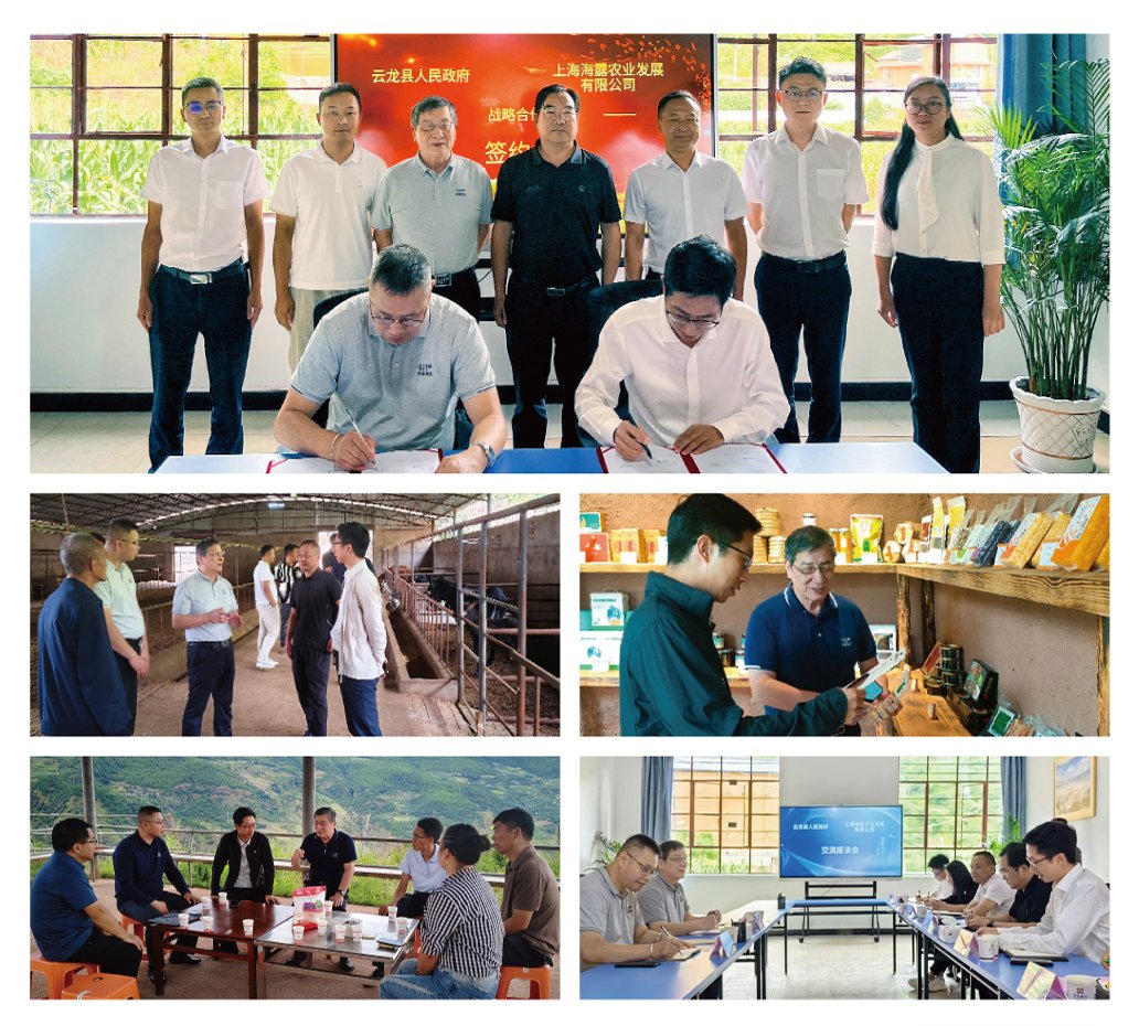 AG真人国际(中国) - 官方网站