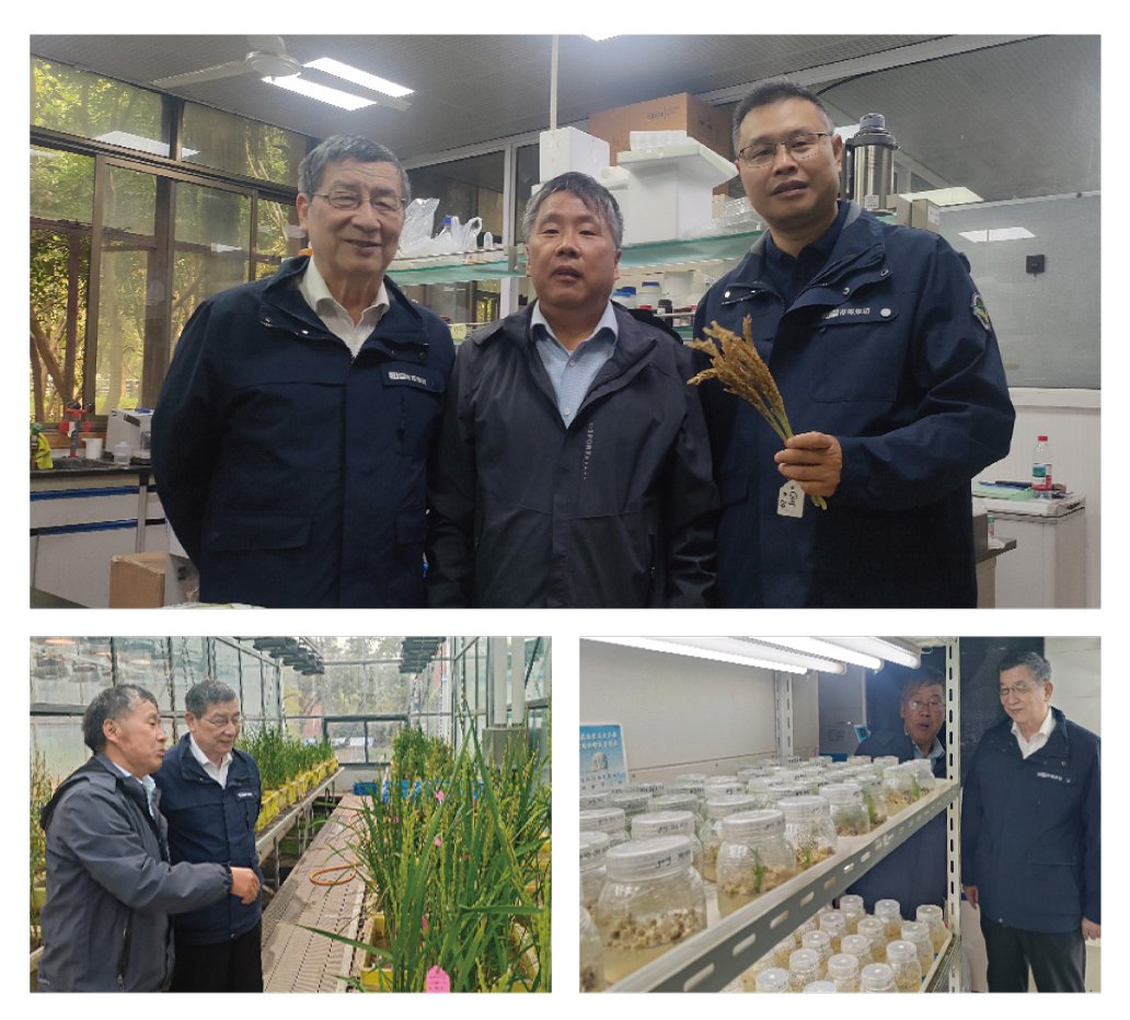 AG真人国际(中国) - 官方网站