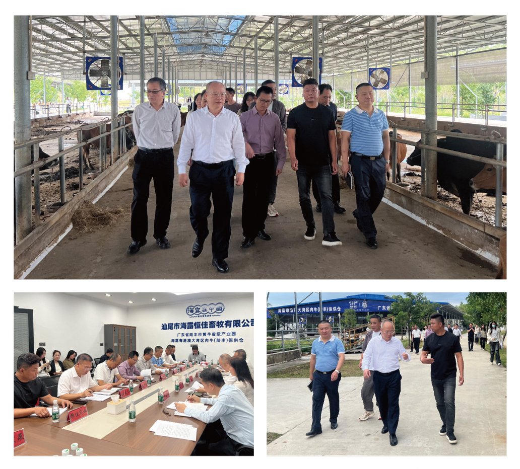 AG真人国际(中国) - 官方网站